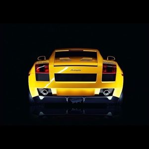 Meet your Posher, Joey